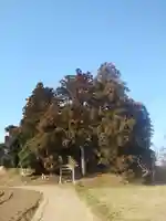 鹿島神社の周辺