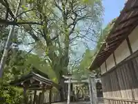 素盞雄神社(奈良県)