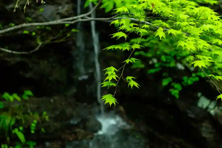 戸隠神社奥社(長野県)