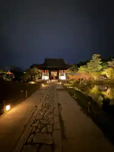 高台寺（高台寿聖禅寺・高臺寺）の{uncategorized: "未分類", other: "その他", undefined: "問題あり", building: "その他建物", grave: "お墓", sacred_gate: "鳥居", guardian: "狛犬", statue: "像", buddha: "仏像", history: "歴史", nature: "自然", garden: "庭園", animal: "動物", pagoda: "塔", temizu: "手水舎", mountain_gate: "山門・神門", sanctuary: "本殿・本堂", subordinate: "末社・摂社", art: "芸術", scenery: "景色", jizo: "地蔵", ema: "絵馬", goshuin: "御朱印", omikuji: "おみくじ", items: "授与品その他", amulet: "お守り", goshuincho: "御朱印帳", eats: "食事", festival: "お祭り", votive_dance: "神楽", shichigosan: "七五三参", wedding: "結婚式", experience: "体験その他", initially: "初詣", around: "周辺", anti_infection: "感染症対策"}