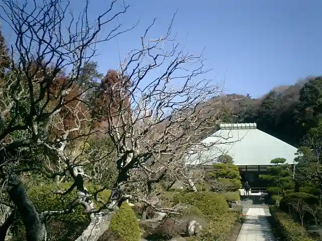 浄妙寺のその他建物