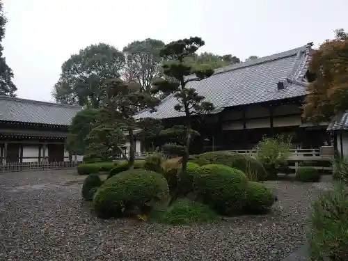 勝光院の庭園