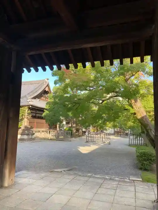 廬山寺(廬山天台講寺)(京都府)