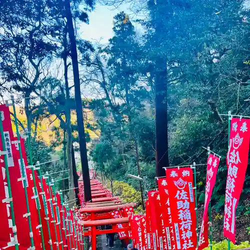 佐助稲荷神社の景色