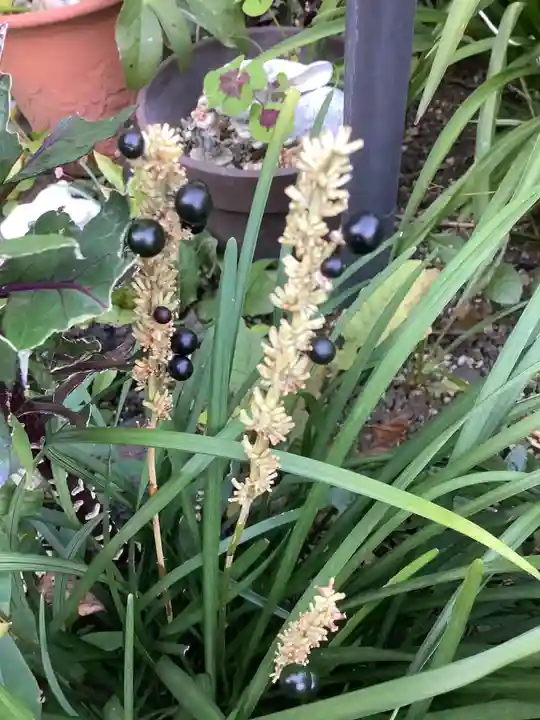 三輪神社(愛知県)