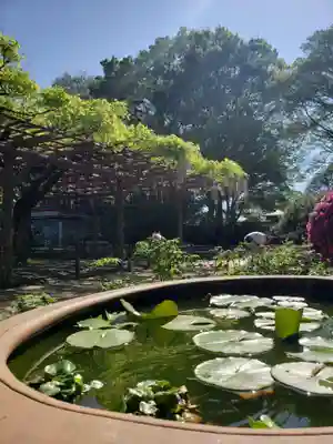 愛染院(東京都)