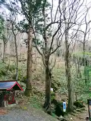 稲荷神社の自然