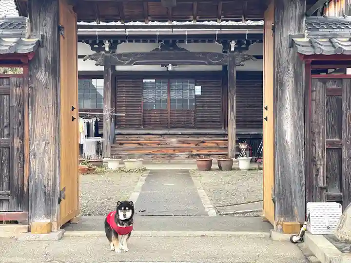 光明寺(滋賀県)
