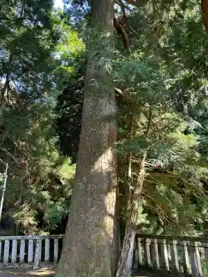 天一神社(奈良県)