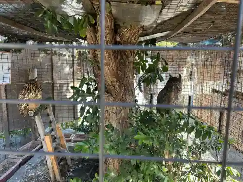 宮地嶽神社の{uncategorized: "未分類", other: "その他", undefined: "問題あり", building: "その他建物", grave: "お墓", sacred_gate: "鳥居", guardian: "狛犬", statue: "像", buddha: "仏像", history: "歴史", nature: "自然", garden: "庭園", animal: "動物", pagoda: "塔", temizu: "手水舎", mountain_gate: "山門・神門", sanctuary: "本殿・本堂", subordinate: "末社・摂社", art: "芸術", scenery: "景色", jizo: "地蔵", ema: "絵馬", goshuin: "御朱印", omikuji: "おみくじ", items: "授与品その他", amulet: "お守り", goshuincho: "御朱印帳", eats: "食事", festival: "お祭り", votive_dance: "神楽", shichigosan: "七五三参", wedding: "結婚式", experience: "体験その他", initially: "初詣", around: "周辺", anti_infection: "感染症対策"}