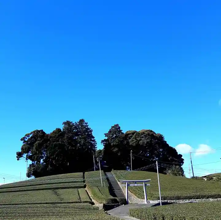 天王神社の鳥居