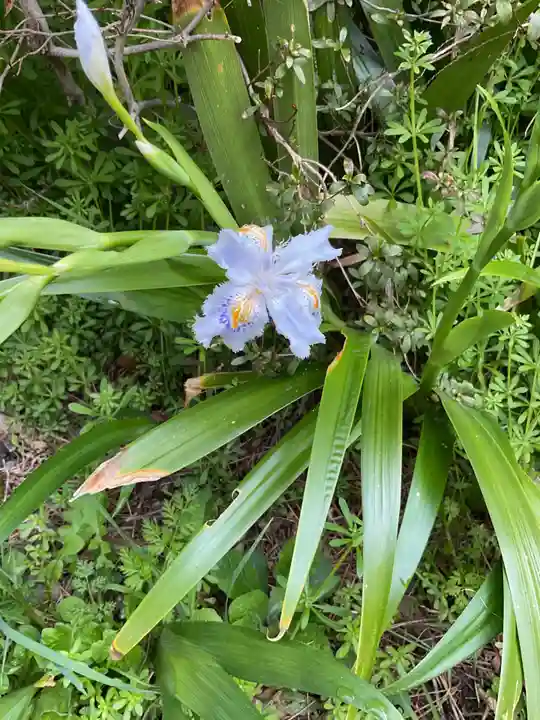 長楽寺(愛知県)
