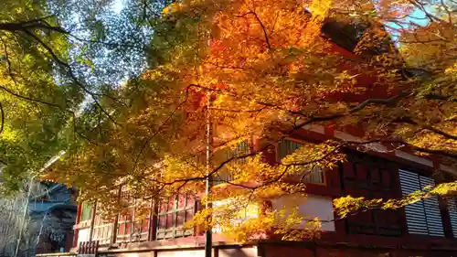 談山神社(奈良県)