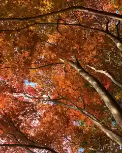 滑川神社 - 仕事と子どもの守り神(福島県)(2023年11月15日(水) 11時10分04秒投稿)