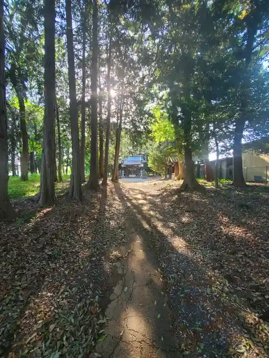 長良神社(野辺町)(群馬県)