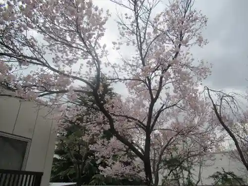 花園神社の自然