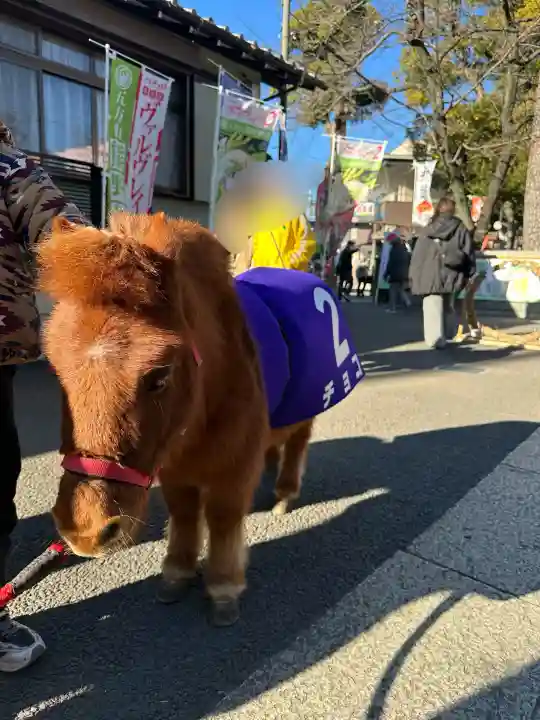 五方山熊野神社(東京都)