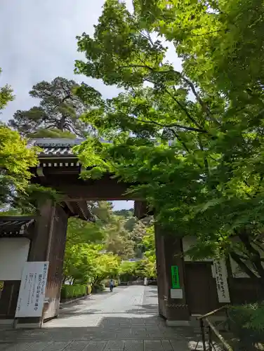 禅林寺（永観堂）(京都府)
