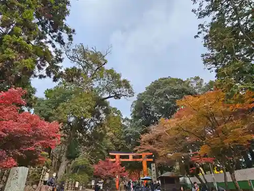 手向山八幡宮(奈良県)