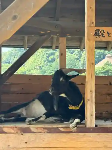 龍姫神社(広島県)