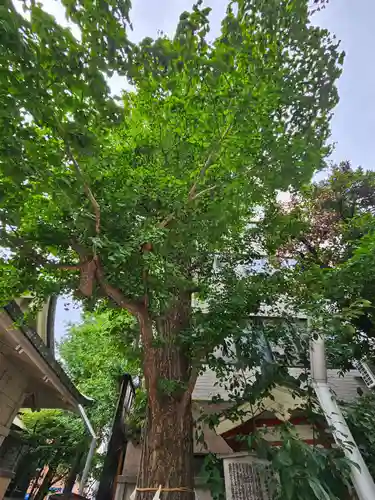 銀杏岡八幡神社(東京都)