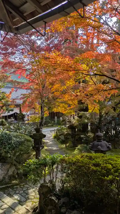 西明寺(京都府)