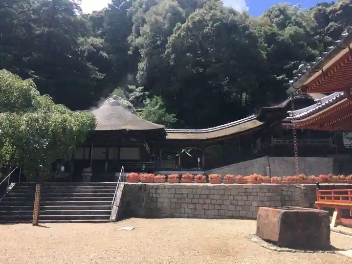 金剛寺の本殿・本堂