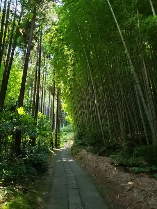 武雄神社(佐賀県)