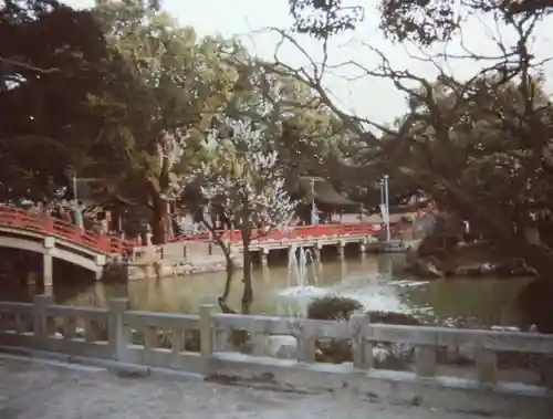 太宰府天満宮の庭園