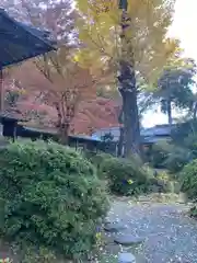永勝寺の庭園