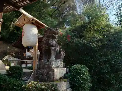宇治上神社の狛犬
