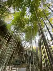 明月院(神奈川県)