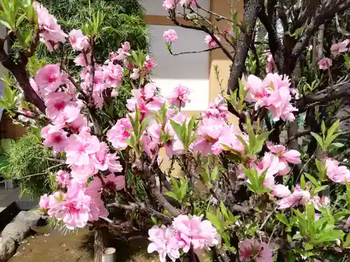 居木神社の自然