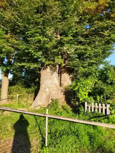 頤氣神社(長野県)