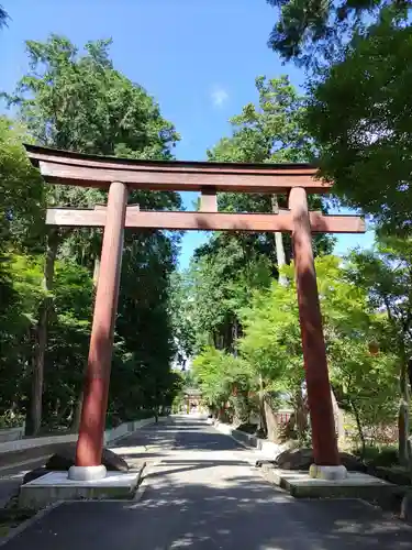 大前神社の鳥居