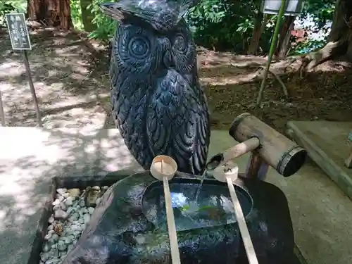 鷲子山上神社の狛犬