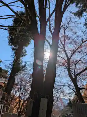 正法寺の御朱印