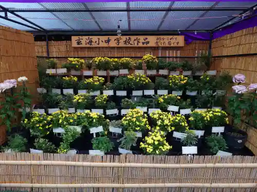 宗像大社(福岡県)