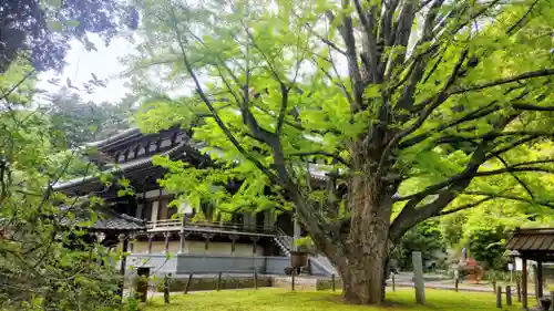 西念寺(茨城県)