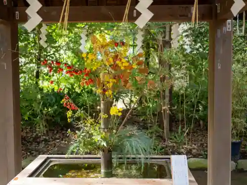 赤坂氷川神社(東京都)
