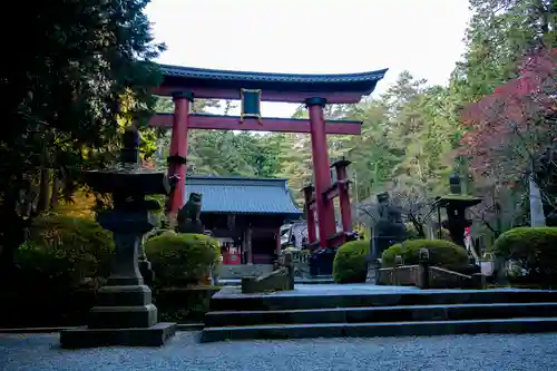 北口本宮冨士浅間神社の鳥居