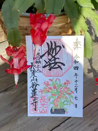 妙蓮寺の御朱印