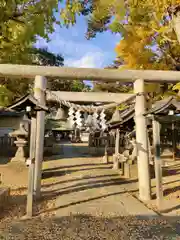 蘇我比咩神社の鳥居