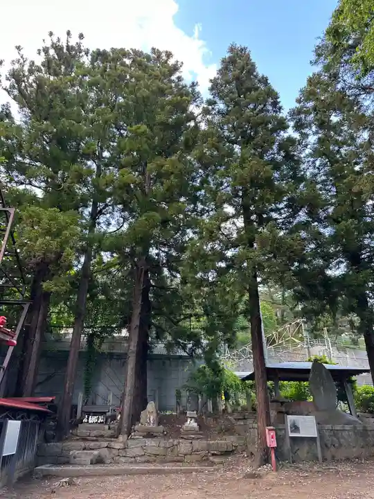 初鹿野諏訪神社(山梨県)