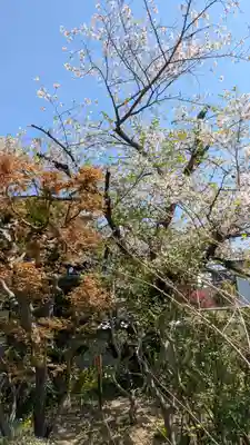 上宮王院聖徳寺(京都府)