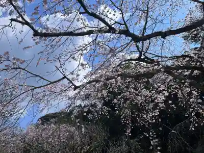 太宰府天満宮の{uncategorized: "未分類", other: "その他", undefined: "問題あり", building: "その他建物", grave: "お墓", sacred_gate: "鳥居", guardian: "狛犬", statue: "像", buddha: "仏像", history: "歴史", nature: "自然", garden: "庭園", animal: "動物", pagoda: "塔", temizu: "手水舎", mountain_gate: "山門・神門", sanctuary: "本殿・本堂", subordinate: "末社・摂社", art: "芸術", scenery: "景色", jizo: "地蔵", ema: "絵馬", goshuin: "御朱印", omikuji: "おみくじ", items: "授与品その他", amulet: "お守り", goshuincho: "御朱印帳", eats: "食事", festival: "お祭り", votive_dance: "神楽", shichigosan: "七五三参", wedding: "結婚式", experience: "体験その他", initially: "初詣", around: "周辺", anti_infection: "感染症対策"}