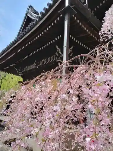頂法寺（六角堂）(京都府)