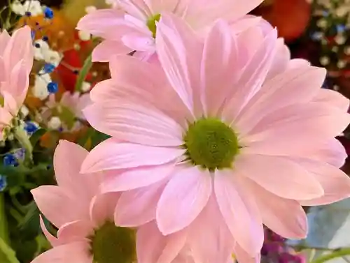 滑川神社 - 仕事と子どもの守り神の手水舎