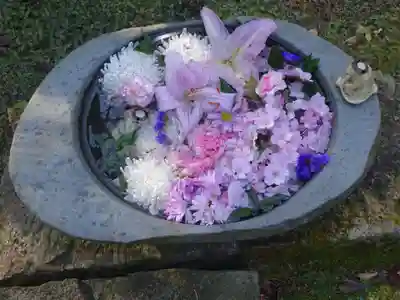 かっぱの寺 栖足寺の手水舎