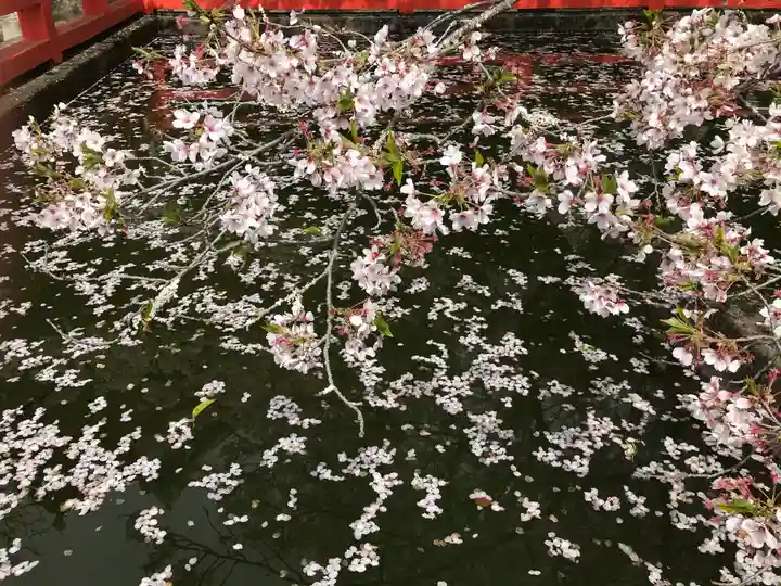 金剛宝寺(紀三井寺)(和歌山県)